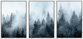 SIGNWIN Framed Canvas Print Wall Art Set Winter Fog Mist Pine Tree Mountain Forest Nature Wilderness Photography Modern Art Landscape Relax/Calm for Living Room, Bedroom, Office - 16