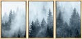 SIGNWIN Framed Canvas Print Wall Art Set Winter Fog Mist Pine Tree Mountain Forest Nature Wilderness Photography Modern Art Landscape Relax/Calm for Living Room, Bedroom, Office - 16