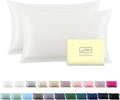 Silk Pillow Cases 2 Pack Soft Breathable and Sliky King Size Pillow Cases Set of 2,Natural Mulberry Satin Silk Pillowcase with Hidden Zipper for Hair and Skin (Ivory,20