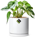 Aveyas 8 inch Ceramic Plant Pot with Drainage Hole and Saucer - Suitable for Indoor and Outdoor Use, Modern Planters for House Garden Flower Tree Snake Monstera Plants (8