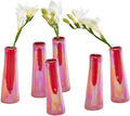 Chive - Set of 6 Galaxy, 1.5