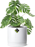Aveyas 10 inch Ceramic Planter Pot with Drainage Hole and Saucer - Suitable for Indoor and Outdoor Use, Modern Planters for House Garden Flower Tree Snake Monstera Plants (10