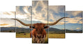 5 Piece Animal HD Painting Canvas Prints Texas Longhorn Steer in Rural Utah Giclee Artwork Modern Framed and Stretched Wall Art Painting for Living Room Decor - 60''W x 32''H