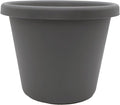 The HC Companies Classic Round Plastic Plant Pot w/Rolled Rim - Lightweight & UV Resistant Flower Pot for Herbs & More - Outdoor & Indoor Plant Pots w/Drainage (14 inch Warm Gray, Pack of 1)