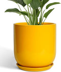 12 Inch Pots for Plants - Ceramic Planter for Outdoor Plants Large Plant Pot Indoor with Drainage Hole Modern Flower Pot for Home Patio Office Decor Yellow