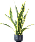 Beebel Artificial Snake Plant 22