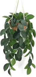 Hanging Plants Artificial Decor, Fake Hanging Plant in Clay Pot Artificial Hanging Plants with Fake Leaves and Hook for Wall Home Room Indoor Outdoor Décor (Dark Green)