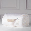 CUDDLE DREAMS Silk Filled Comforter for All Season, Detachable Tencel Duvet Cover for Easy Care, Naturally Breathable (White, Queen)