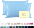 Silk Pillow Cases 2 Pack Soft Breathable and Sliky King Size Pillow Cases Set of 2,Natural Mulberry Satin Silk Pillowcase with Hidden Zipper for Hair and Skin (Sky Blue,20
