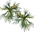 Melorca&Guilla Artificial Plants Artificial Succulent Plants,2PCS 35
