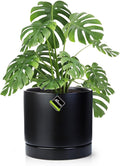 Aveyas 10 inch Ceramic Plant Pot with Drainage Hole and Saucer - Suitable for Indoor and Outdoor Use, Modern Planters for House Garden Flower Tree Snake Monstera Plants (10