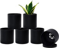 D'vine Dev 6 Pack 4.5 Inch Modern Plastic Plant Pots, Small Garden Planters for Plant with Drainage Holes and Saucers, Black Color, 74-Y-F-3