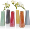 Chive - Set of 6 Galaxy, 1.5