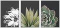 SIGNWIN Framed Wall Art Print Set Echeveria Succulent Variety Nature Plants Photography Modern Art Closeup Relax/Calm Dark Black and White for Living Room, Bedroom, Office - 16