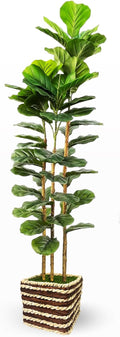 Artificial Fiddle Leaf Fig Tree Indoor with Woven Basket - 5ft Tall Fake Tree with Real-Wood Trunk,Faux Plants for Living Rooms, Offices, Kitchens & Outdoor Spaces (Square Basket)