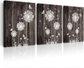 DZRWUBHS Canvas Wall Art For Living Room Large Wall Decor For Bedroom Office Wall Decorations Abstract Wood grain dandelion Wall Paintings Hang Pictures Artwork Kitchen Art Prints Room Home Decor