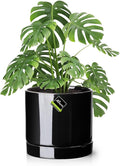 Aveyas 10 inch Ceramic Plant Pot with Drainage Hole and Saucer - Suitable for Indoor and Outdoor Use, Modern Planters for House Garden Flower Tree Snake Monstera Plants (10