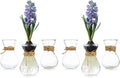 Small Glass Vases for Centerpieces - Hewory 6pcs Clear Mini Hyacinth Avocado Growing Bud Vase Bulk, Cute Tiny Flower Bulb Forcing Plant Containers Set for Wedding Home Living Room Table Decorations