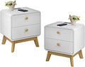 Aries Set of 2 Nightstands with Charging Station, 2 Drawer Bedside Tables with Storage, Night Stands for Bedroom, End Table or Side Table for Living Room, 15.7