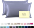 Silk Pillowcase for Hair and Skin,Soft,Breathable and Sliky 100% Standard Size Pillow Cases Set of 2,Both Sides Natural Mulberry Silk Pillowcases with Hidden Zipper(Standard Size 20
