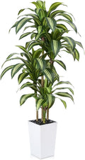 Artificial Dracaena Tree 6FT - UV Resistant Faux Tree with Large Taper Planter & Pebbles - Tall Fake Plants Indoor & Outdoor, Potted Floor Plant for Home Living Room Porch Decor, VN127