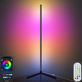 AVCNUJ LED Floor Lamp, 65