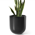 LE TAUCI 10 Inch Plant Pot, Ceramic Pots for Plants with Drainage Hole and Rubber Plug, Plant Pots Indoor for Olive Tree, Cylinder Planter Pot for Home Patio Office, Black