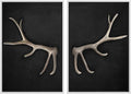 MUDECOR Framed Canvas Print Wall Art Rustic Antler Minimalist Antler Illustrations Modern Art Decorative Bohemian Colorful Chic for Living Room, Bedroom, Office - 16