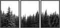 SIGNWIN 3 Piece Framed Canvas Wall Art Woodland Nursery Decor Black and White Forest Photo Nature Illustrations Abstract Traditional Home Artwork Decoration for Living Room,Bedroom - 16