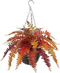 Hollyone Fall Hanging Baskets Small Artificial Fern Orange 21 Leaves Fall Hanging Decor Plant Boston Ferns Silk Plants with Black Rattan Baskets Outdoors Indoor Fake Fern Autumn Decorations for Home