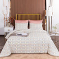 CLOTHKNOW Aztec Queen Comforter Set Boho Bedding Comforter Sets Geometric Bed Comforter with 2 x Pillowcases