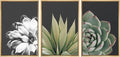 SIGNWIN Framed Wall Art Print Set Echeveria Succulent Variety Nature Plants Photography Modern Art Closeup Relax/Calm Dark Black and White for Living Room, Bedroom, Office - 16
