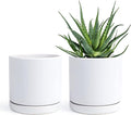 D'vine Dev Set of 2 Plants Pots, 6 Inch Ceramic Planter Pot for Plants with Drainage Hole and Saucer, White, 94-V-C-1