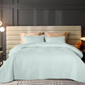 Velvet Quilt Queen Size, Luxurious Quilted Bedspread Bedding Set, Ultra Soft Cozy Coverlet with Brushed Back, Lightweight Reversible Comforter for All Season, Pale Blue