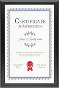 SnapeZo Black Document Notice Frame 11x17 Inch, 1