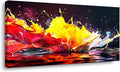Abstract Splashing of Colorful Paint Wall Art Decor Artwork for Living Room (30x60 Inches)