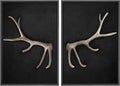 MUDECOR Framed Canvas Print Wall Art Rustic Antler Minimalist Antler Illustrations Modern Art Decorative Bohemian Colorful Chic for Living Room, Bedroom, Office - 16