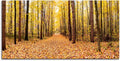 Panorama Forest In Fall Large Stretched Canvas Wall Art For Living Room Bedroom Home Decoration,Mordern Landscape Print Picture Painting Decor Giclee Artwork,Gallery Wrapped Gift,Inner Frame(24x48)
