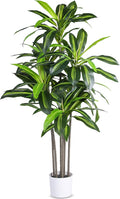 Artificial Dracaena Tree Indoor, 5FT Tall Faux Tree with Natural Wood Trunk and Lifelike Leaves, Tall Artificial Plants Indoor, Fake Plants for Home, Office, Living Room Decor