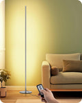 EDISHINE LED Floor Lamp with Remote, 57.5