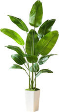 Fake Bird of Paradise Silk Artificial Plant Faux Banana Leaf Tree Lifelike Bird of Paradise for Home Decor Indoor Floor Plant with 10 Trunks (1, White Tall Planter, 6 FT)