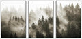 SIGNWIN Framed Canvas Print Wall Art Woodland Nursery Decor Set Duotone Blue Misty Pine Tree Forest Nature Modern Art Rustic Landscape Colorful for Living Room, Bedroom, Office - 24