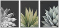 SIGNWIN Framed Canvas Print Wall Art Trio of Echevaria Succulents Floral Plants Photography Modern Art Minimalist Closeup Dramatic Black and White for Living Room, Bedroom, Office - 16