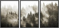 SIGNWIN Framed Canvas Print Wall Art Woodland Nursery Decor Set Duotone Blue Misty Pine Tree Forest Nature Modern Art Rustic Landscape Colorful for Living Room, Bedroom, Office - 24