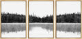 SIGNWIN 3 Piece Framed Canvas Wall Art Woodland Nursery Decor Black and White Forest with Lake Nature Abstract Traditional Home Artwork Decoration for Living Room,Bedroom - 24
