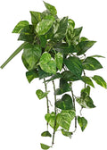Hollyone Artificial Pothos Hanging Plants 25