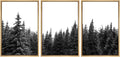 SIGNWIN 3 Piece Framed Canvas Wall Art Woodland Nursery Decor Black and White Forest Photo Nature Abstract Traditional Home Artwork Decoration for Living Room,Bedroom - 24