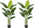 Lifelike Bird of Paradise Artificial Plant,5ft Faux Banana Leaf Tree with 10 Trunks - Perfect Indoor Silk Floor Plant for Home Decor in Living Room, Office, and Bedroom (Set of 2)