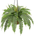 Fake Hanging Plants Large Boston Fern Artificial Plants Outdoor Realistic Fake Ferns with Palm Basket Silk Plants Ferns Hanging Plant Artificial Decor for Home Front Porch Window Garden - Dusty Green