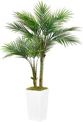 Fake Palm Tree 5FT - Artificial Plants with White Tall Planter, Faux Tropical Golden Cane Palm Tree with Two Trunks and 18 Realistic Palm Leaves, Indoor Floor Plants for Living Room Office Decor